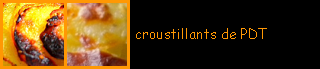 lien recette croustillants de PDT